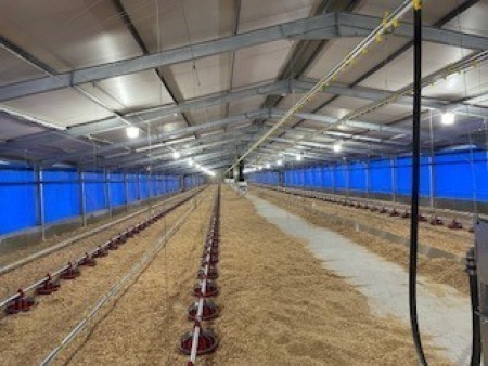 Chemvet Pig Housing 2